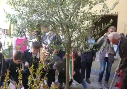 Al lavoro per piantare l'albero che... non c'era